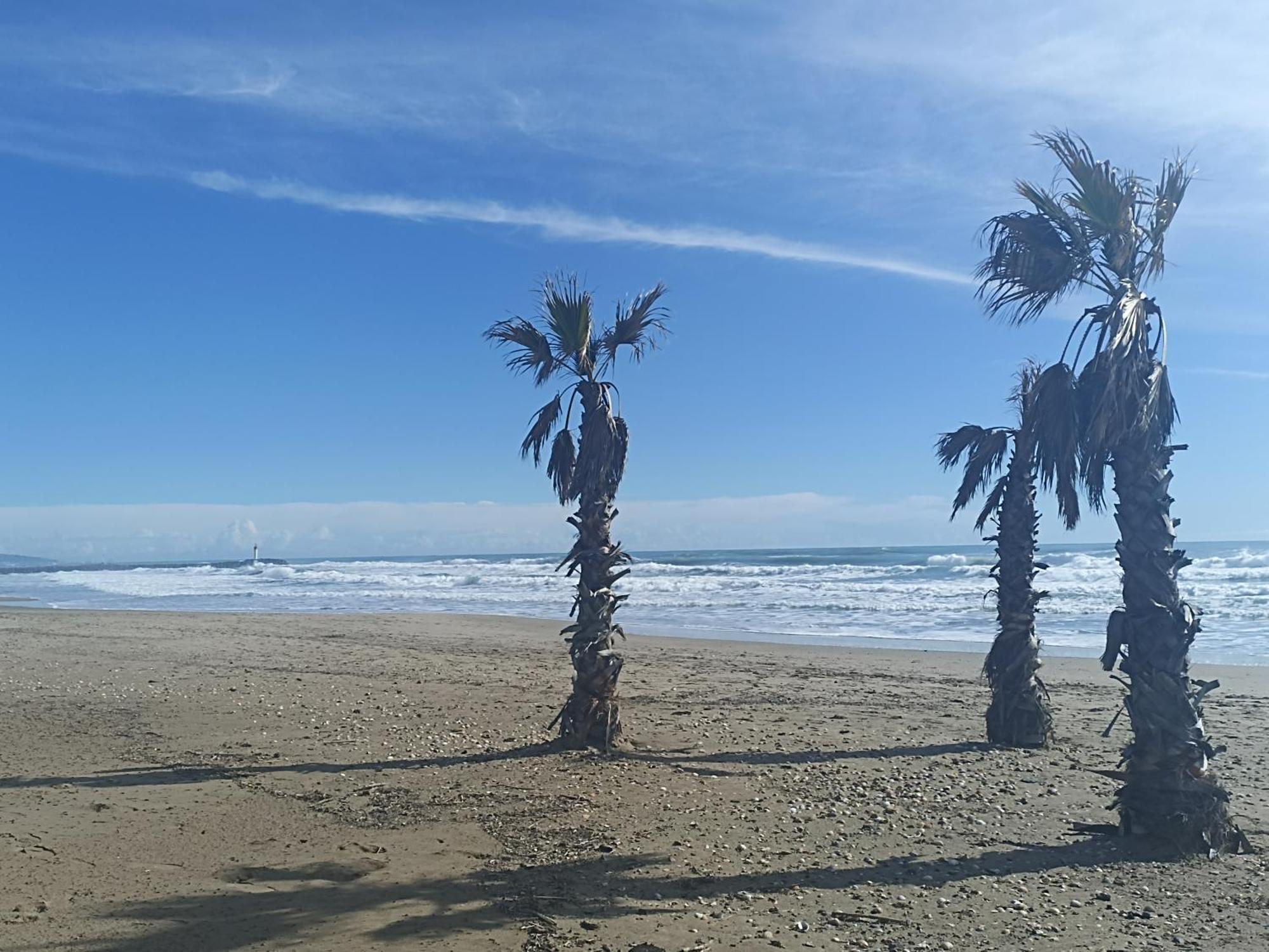 Cap D'Agde Port Lano T2 Clim, Piscine, Tennis Et Parking Zewnętrze zdjęcie
